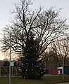 Weihnachtsgruß auf dem Hof des Ortsverbandes mit einem Baum aus dem Landkreis