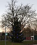 Weihnachtsgruß auf dem Hof des Ortsverbandes mit einem Baum aus dem Landkreis